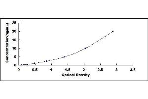 Typical standard curve (WASF2 ELISA 试剂盒)