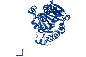 Protein Structure (PS) image for Spermidine Synthase (SRM) (AA 1-302) protein (His tag) (ABIN7546225)