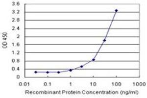 Sandwich ELISA detection sensitivity ranging from 1 ng/mL to 100 ng/mL. (MAGED1 (人) Matched Antibody Pair)