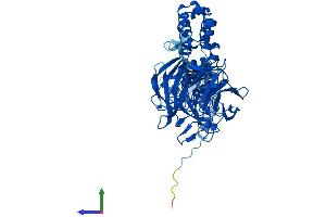 Protein Structure (PS) image for Kelch-Like 12 (Drosophila) (KLHL12) (AA 1-568) protein (His tag) (ABIN7564476)