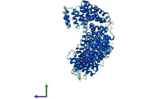 Protein Structure (PS) image for N(alpha)-Acetyltransferase 25, NatB Auxiliary Subunit (NAA25) (AA 1-972) protein (His tag) (ABIN7554684)