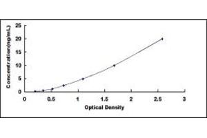 Typical standard curve (ADH3 ELISA 试剂盒)
