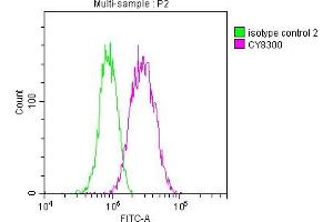 Overlay histogram showing A549 cells stained with ABIN7127330 (red line) at 1:50.