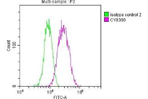 Overlay histogram showing A549 cells stained with ABIN7127330 (red line) at 1:50. (Recombinant AKR1C3 抗体)