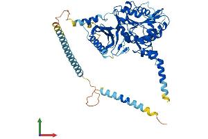 Protein Structure (PS) image for Chondroitin Sulfate N-Acetylgalactosaminyltransferase 2 (CSGALNACT2) (AA 1-542) protein (His tag) (ABIN7559106)