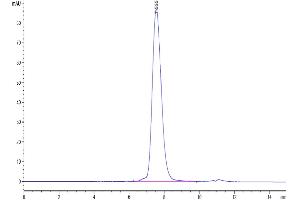Size-exclusion chromatography-High Pressure Liquid Chromatography (SEC-HPLC) image for MHC Class I Polypeptide-Related Sequence B (MICB) (AA 23-298) protein (His-Avi Tag) (ABIN7275257)