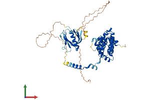 Protein Structure (PS) image for rho GTPase Activating Protein 15 (ARHGAP15) (AA 1-475) protein (His tag) (ABIN7551353)
