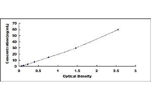 Typical standard curve (Coagulation Factor X ELISA 试剂盒)