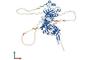 AlphaFold protein structure predicition of Mouse Recombinant Dyrk3 Protein, UniprotID Q922Y0