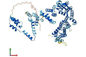 AlphaFold protein structure predicition of Mouse Recombinant Nelfcd Protein, UniprotID Q922L6