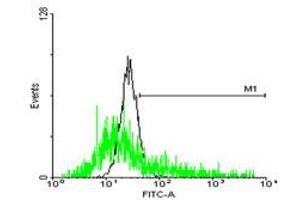 Flow Cytometry (FACS) image for anti-Signal Sequence Receptor, beta (Translocon-Associated Protein Beta) (SSR2) (AA 1-186) antibody (ABIN520505)