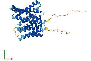 Protein Structure (PS) image for Solute Carrier Family 35 (UDP-GlcNAc/UDP-Glucose Transporter), Member D2 (SLC35D2) (AA 1-337) protein (His tag) (ABIN7545946)