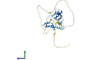 Protein Structure (PS) image for Interaction Protein For Cytohesin Exchange Factors 1 (IPCEF1) (AA 1-437) protein (His tag) (ABIN7548384)