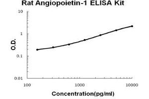 Rat Angiopoietin-1 PicoKine ELISA Kit standard curve