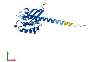 Protein Structure (PS) image for RAB35, Member RAS Oncogene Family (RAB35) (AA 1-201) protein (His tag) (ABIN7551155)