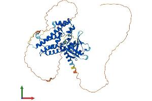 Protein Structure (PS) image for rho Guanine Nucleotide Exchange Factor (GEF) 3 (ARHGEF3) (AA 1-526) protein (His tag) (ABIN7552380)