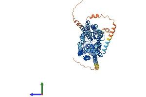 Protein Structure (PS) image for Solute Carrier Organic Anion Transporter Family, Member 1B1 (SLCO1B1) (AA 1-691) protein (His tag) (ABIN7555560)