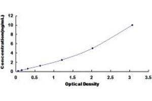Typical standard curve (BCAR1 ELISA 试剂盒)