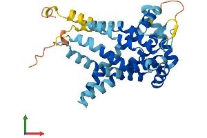 AlphaFold protein structure predicition of Human Recombinant SLC25A44 Protein, UniprotID Q96H78 (SLC25A44 Protein (AA 1-314) (His tag))