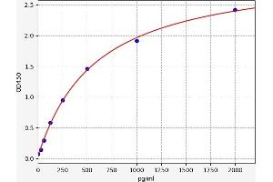 Cerebral Dopamine Neurotrophic Factor (CDNF) ELISA Kit