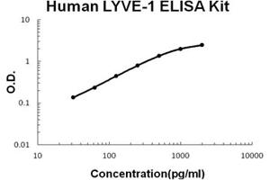 Human LYVE-1 Accusignal ELISA Kit Human LYVE-1 AccuSignal ELISA Kit standard curve. (LYVE1 ELISA 试剂盒)