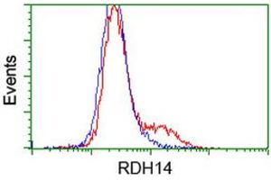 HEK293T cells transfected with either RC203411 overexpress plasmid (Red) or empty vector control plasmid (Blue) were immunostained by anti-RDH14 antibody (ABIN2454146), and then analyzed by flow cytometry. (RDH14 抗体)