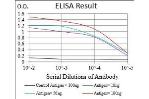 Black line: Control Antigen (100 ng), Purple line: Antigen(10 ng), Blue line: Antigen (50 ng), Red line: Antigen (100 ng), (CAMKII gamma 抗体  (AA 322-481))