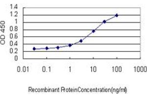 Detection limit for recombinant GST tagged SEC22L1 is approximately 0. (SEC22B 抗体  (AA 1-110))