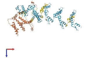 ZNF560 Protein (AA 1-790) (His tag)