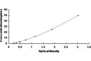 Typical standard curve (Adipsin ELISA 试剂盒)