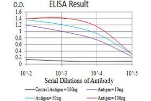 Black line: Control Antigen (100 ng);Purple line: Antigen (10ng); Blue line: Antigen (50 ng); Red line:Antigen (100 ng) (P2RX7 抗体  (AA 226-452))