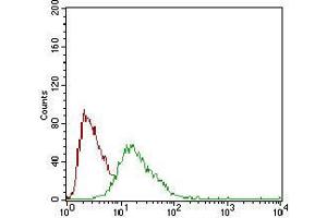 Flow cytometric analysis of HepG2 cells using SOX10 mouse mAb (green) and negative control (red). (SOX10 抗体  (AA 147-252))