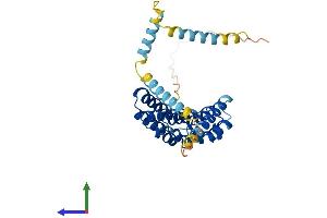 Protein Structure (PS) image for Peroxisomal Biogenesis Factor 26 (PEX26) (AA 1-305) protein (His tag) (ABIN7558561)