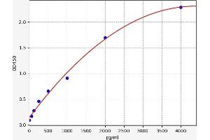ADAM Metallopeptidase Domain 10 (ADAM10) ELISA Kit