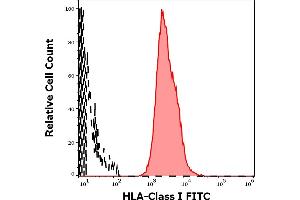 Separation of human leukocytes (red-filled) from HLA Class I negative blood debris (black-dashed) in flow cytometry analysis (surface staining) of human peripheral whole blood stained using anti-human HLA Class I (W6/32) FITC antibody (concentration in sample 3 μg/mL). (MICA 抗体  (FITC))