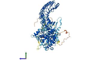 AlphaFold protein structure predicition of Mouse Recombinant Nod2 Protein, UniprotID Q8K3Z0 (NOD2 Protein (AA 1-1020) (His tag))