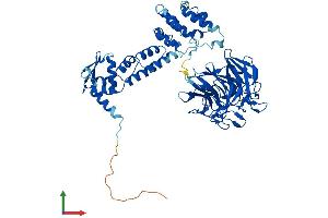 Protein Structure (PS) image for Kelch-Like 3 (KLHL3) (AA 1-587) protein (His tag) (ABIN7562114)
