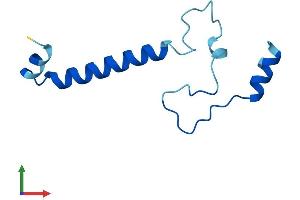 Protein Structure (PS) image for Chromosome 15 Open Reading Frame 48 (C15ORF48) (AA 1-83) protein (Fc Tag) (ABIN7549888)