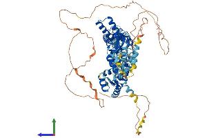 AlphaFold protein structure predicition of Human Recombinant HCN3 Protein, UniprotID Q9P1Z3