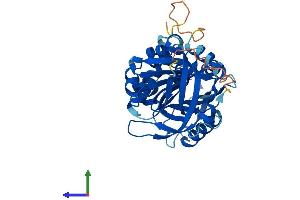 Protein Structure (PS) image for serpin Peptidase Inhibitor, Clade B (Ovalbumin), Member 4 (SERPINB4) (AA 1-390) protein (His tag) (ABIN7546339)