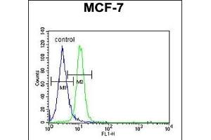 PSG7 Antibody (C-term) (ABIN651132 and ABIN2840089) flow cytometric analysis of MCF-7 cells (right histogram) compared to a negative control cell (left histogram). (PSG7 抗体  (C-Term))