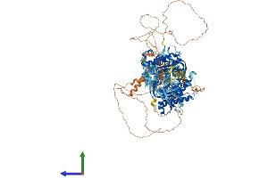 AlphaFold protein structure predicition of Human Recombinant ADCY9 Protein, UniprotID O60503