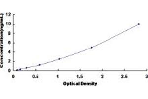 Typical standard curve (MAT2A ELISA 试剂盒)