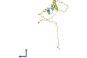 Protein Structure (PS) image for Ripply1 Homolog (RIPPLY1) (AA 1-201) protein (His tag) (ABIN7557014)