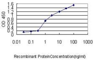Detection limit for recombinant GST tagged DSU is approximately 0. (MREG 抗体  (AA 1-214))