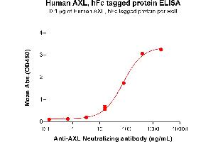 AXL Receptor tyrosine Kinase (AXL) (AA 26-449) protein (Fc Tag)