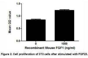 FGF23 (Fibroblast growth factor 23) is a member of the fibroblast growth factor family, which possess broad mitogenic and cell survival activities and are involved in a variety of biological processes.