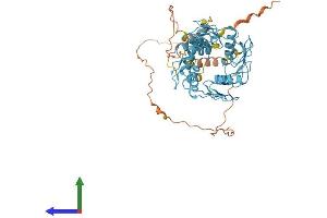 AlphaFold protein structure predicition of Human Recombinant ZNF517 Protein, UniprotID Q6ZMY9