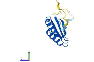 Protein Structure (PS) image for Signal Recognition Particle 14kDa (Homologous Alu RNA Binding Protein) (SRP14) (AA 1-110) protein (His tag) (ABIN7562900)