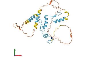 Protein Structure (PS) image for Kruppel-Like Factor 9 (KLF9) (AA 1-244) protein (His tag) (ABIN7562378)
